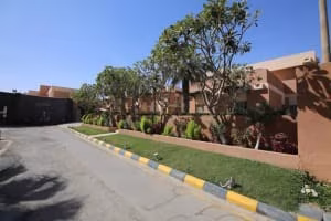 Al Jazeera Compound photo 4