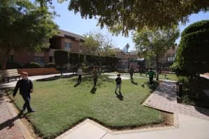 Al Jazeera Compound — Green area