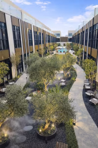 Ayanna Olaya Compound photo 3