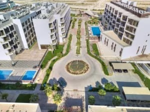 Canary Vista