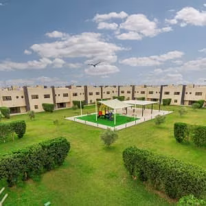 Vives Compound — Green areas